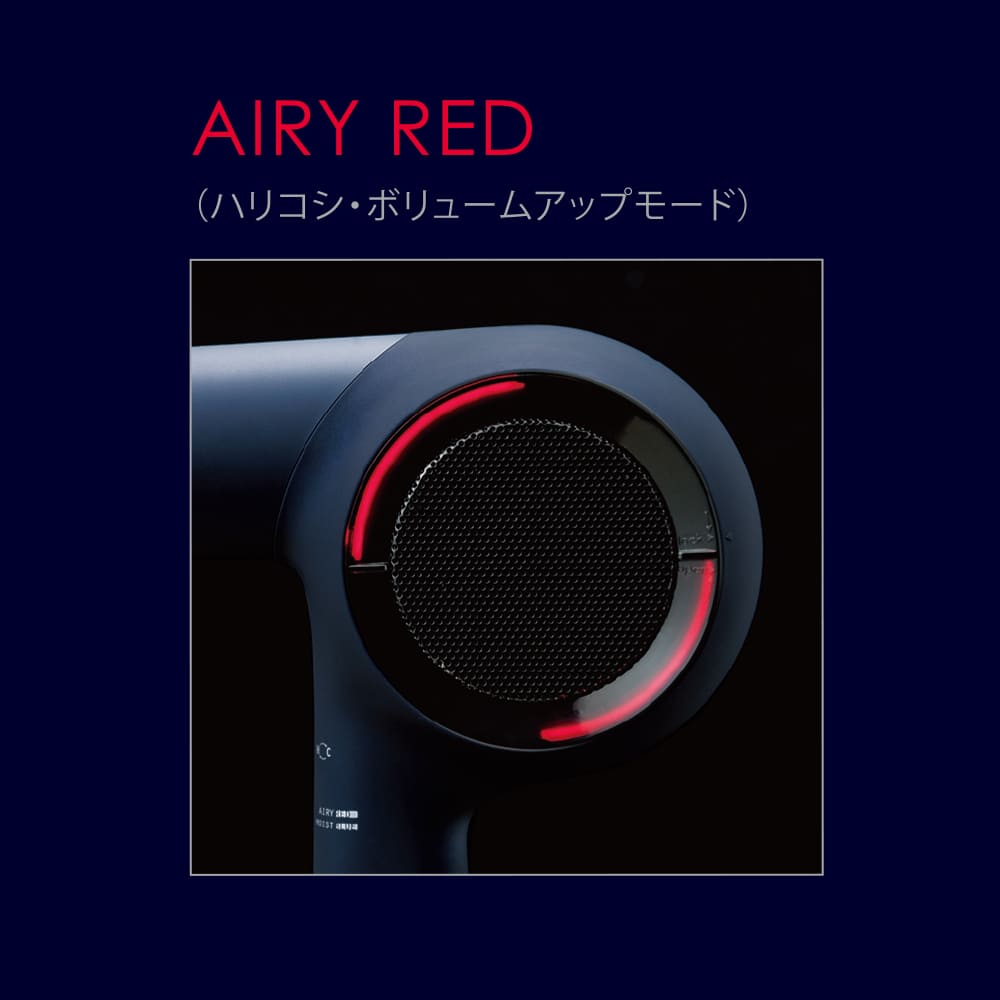 ホリスティックキュア ドライヤー Rp. / ホリスティックキュアーズ