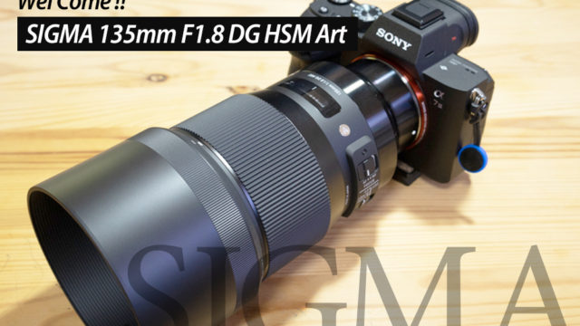 SIGMA 135mm F1.8 DG HSM Art購入レビュー！ため息が出る描写力！作例
