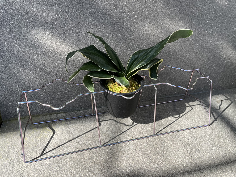 豊明園 / おもと特製金枠