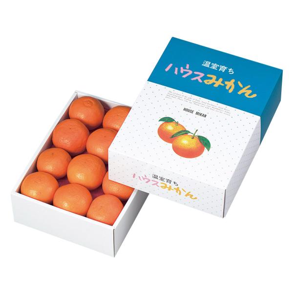 ヤマニパッケージ ハウスみかん2段(60入) L-400 | 資材の激安販売なら