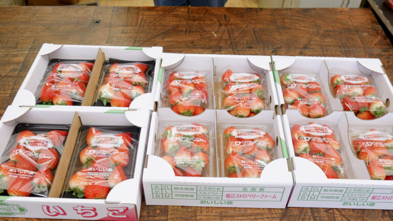 旬の「とちあいか」いちごが本日入荷しました！ – 堀江ストロベリー