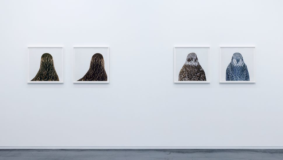 同じ水平線を見ている——ロニ・ホーン「bird」＠タカ・イシイ