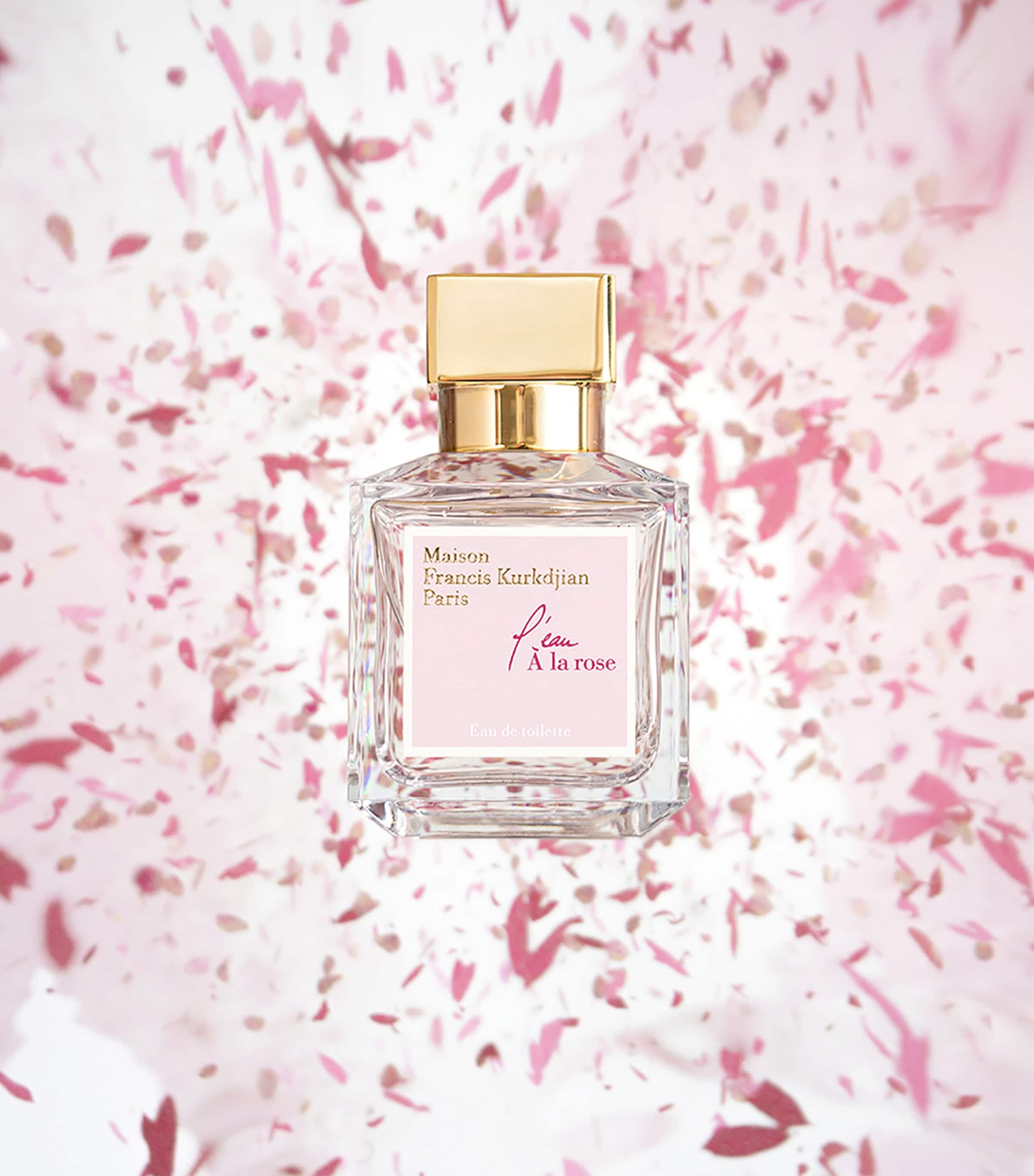 6cd201634226f9868632e02c4cd687