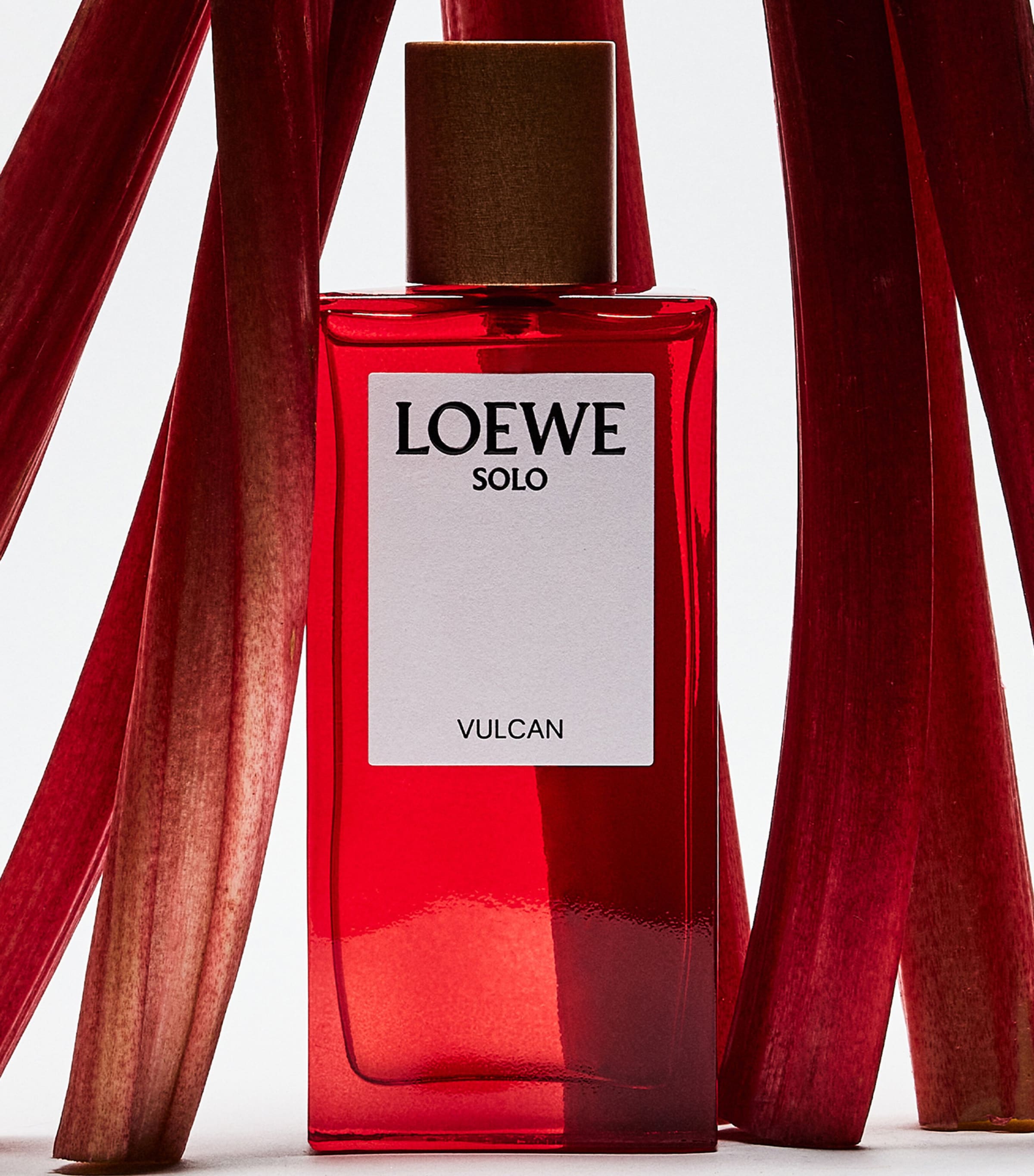 LOEWE Solo Vulcan Eau de Parfum (100ml) | Harrods US
