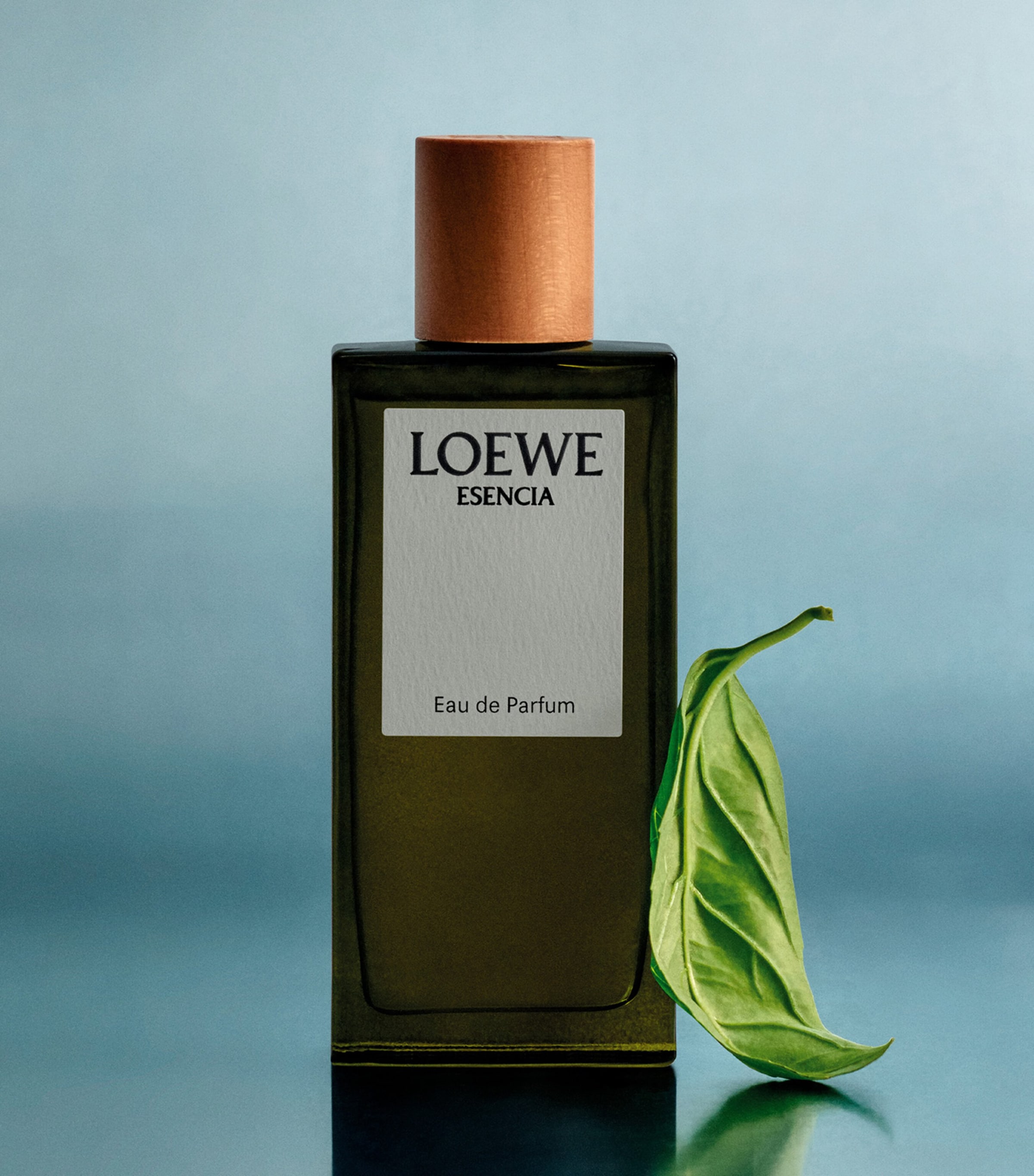 LOEWE Esencia Eau de Parfum (100ml) | Harrods US