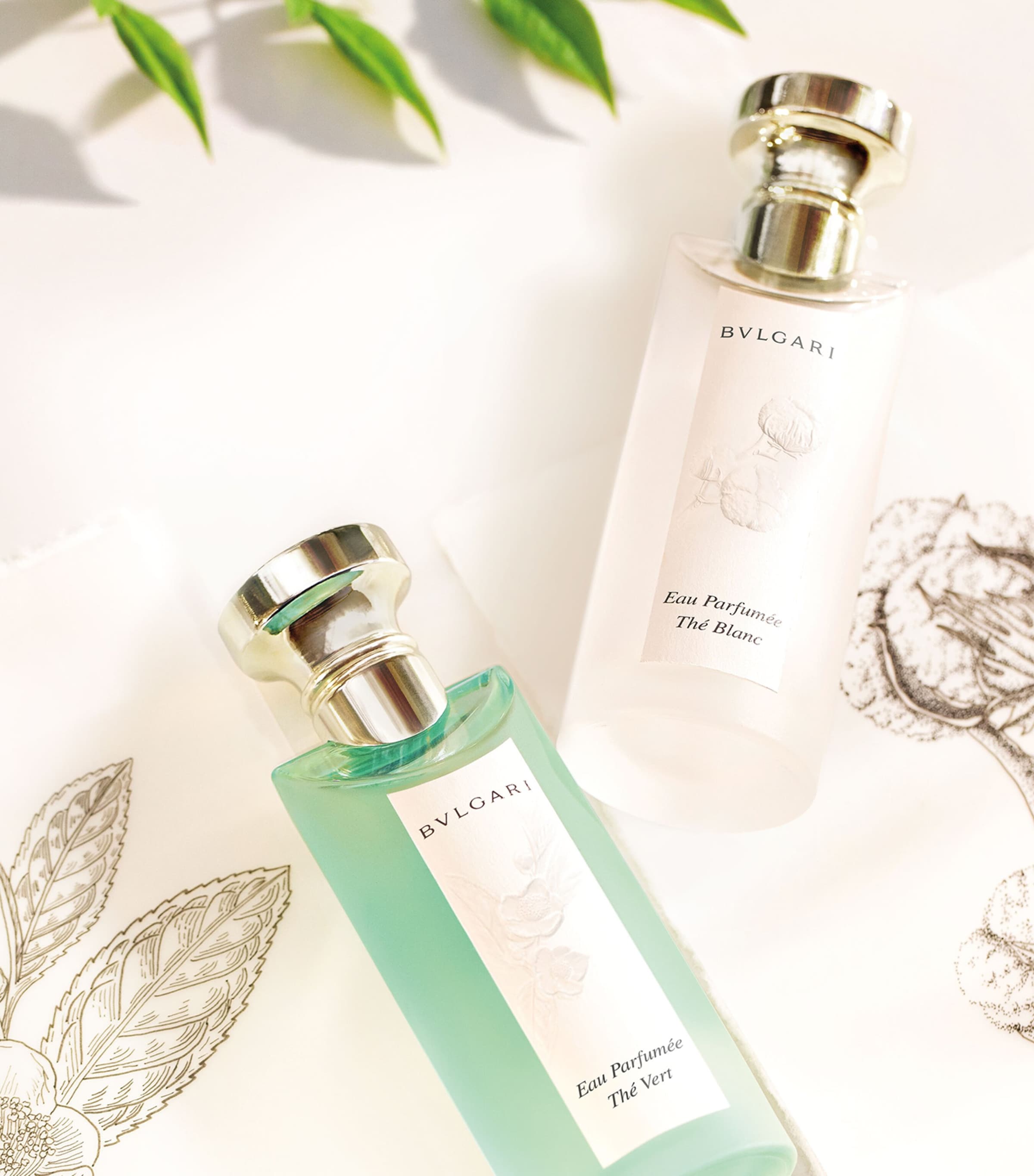 Bvlgari Eau Parfumée Thé Vert (350ml) | Harrods UK