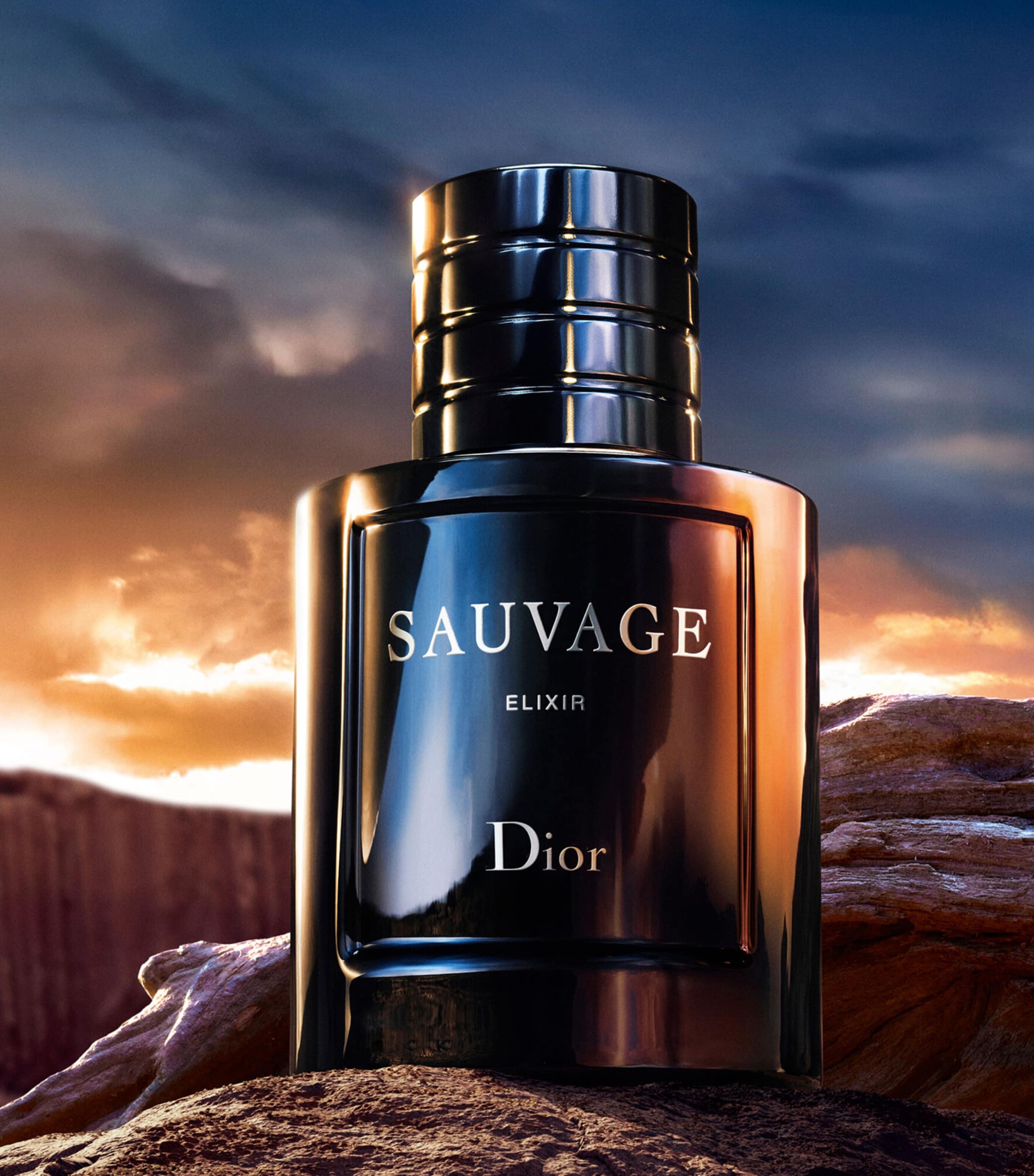 DIOR Sauvage Elixir (60ml) | Harrods US