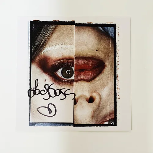 レディー・ガガ 直筆サイン入り写真 Lady Gaga y8 レディー・ガガ 直筆