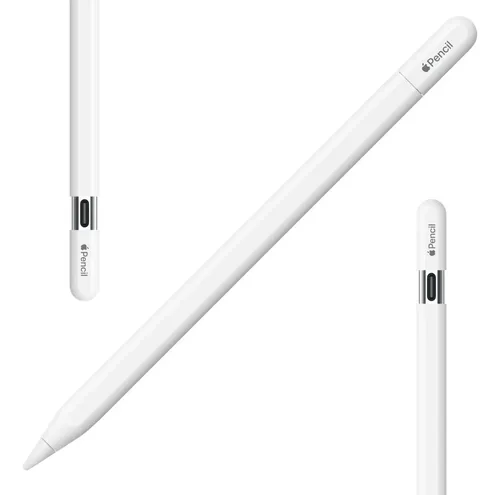 Apple Pencil Usb-c Original Lacrada Garantia 1 Ano A3085 New