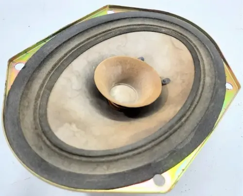Alto Falante Tras Orignal Escort Hatch Zetec 97/03 Xs4f18808 Palha