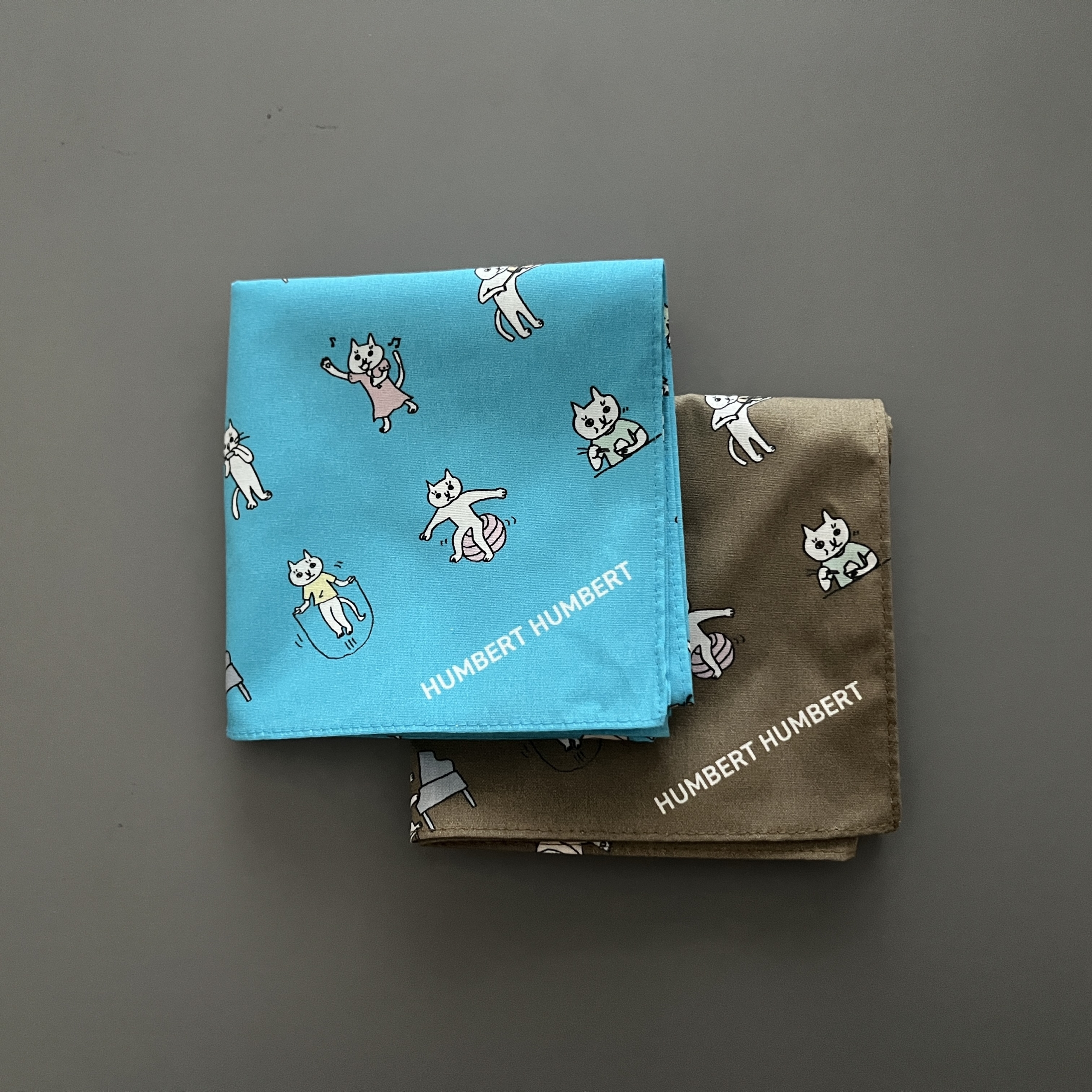 NEWS - ハンバートハンバート オフィシャルウェブサイト