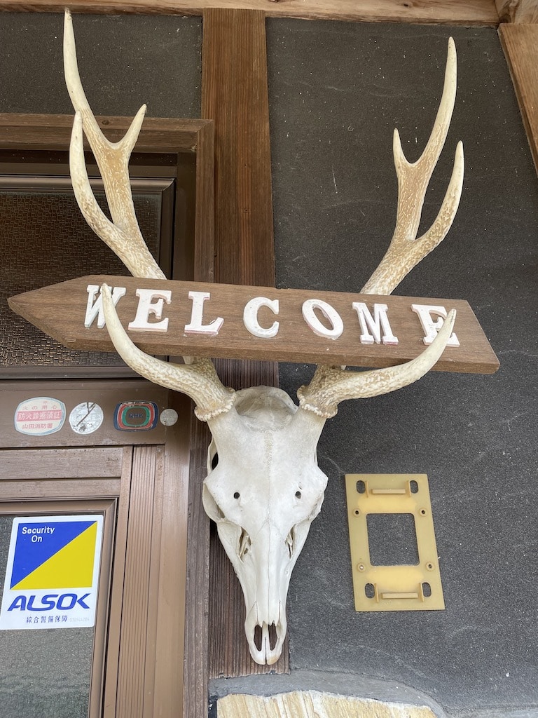 鹿角トロフィーの作り方 解体からトロフィー制作の方法 立派な鹿の