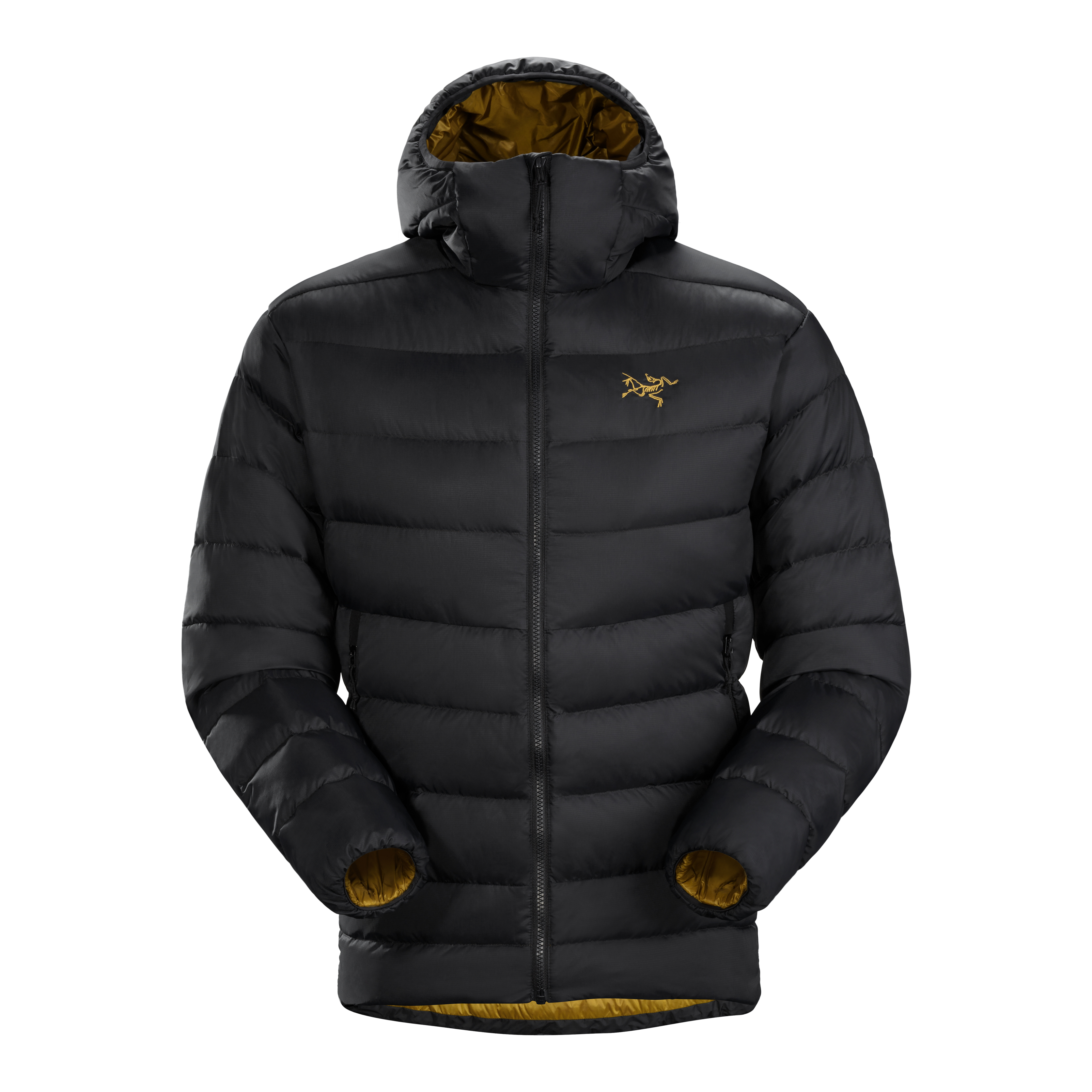 Arc'teryx Thorium AR Hoody - 24K Black | Full-Zip Hoodies | Huckberry