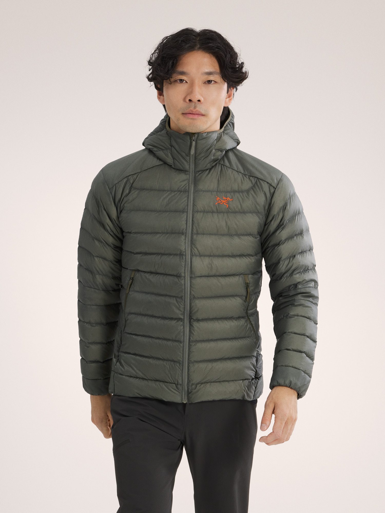 Arc'teryx Cerium Hoodie - Forage/Verve | Winter Jackets | Huckberry