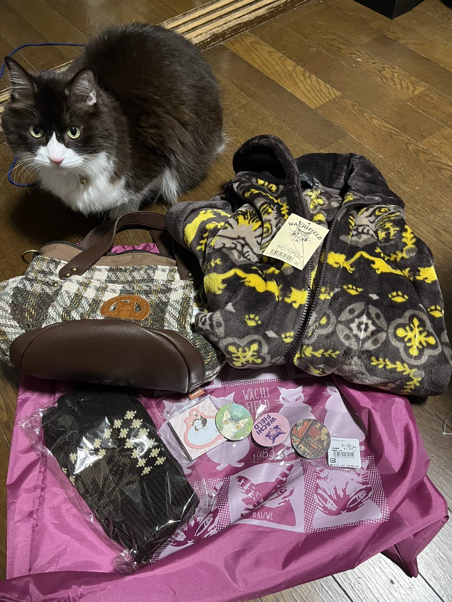 ダヤン福袋[2026]の中身をネタバレします！🐾かわいさ満点のアイテムが