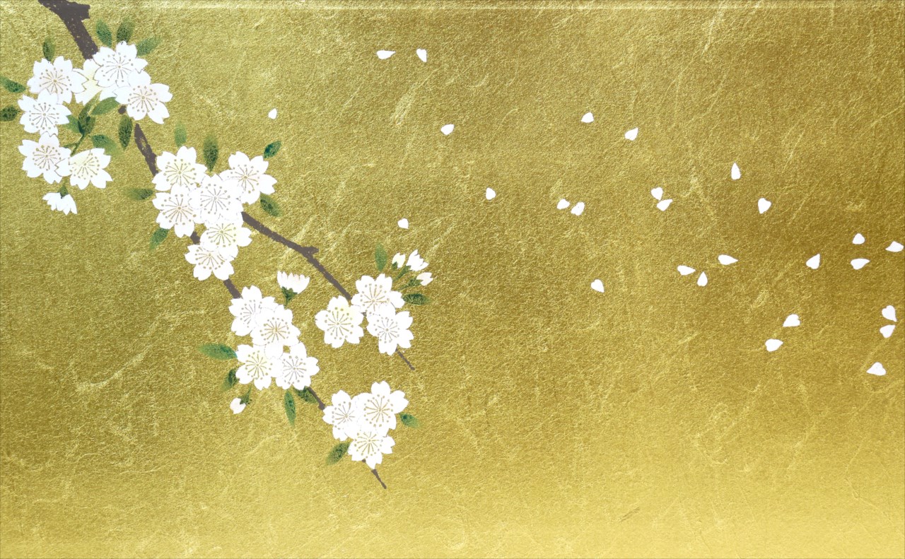雛人形用 屏風 「和紙入金沢箔 枝桜二曲屏風」 11号サイズ
