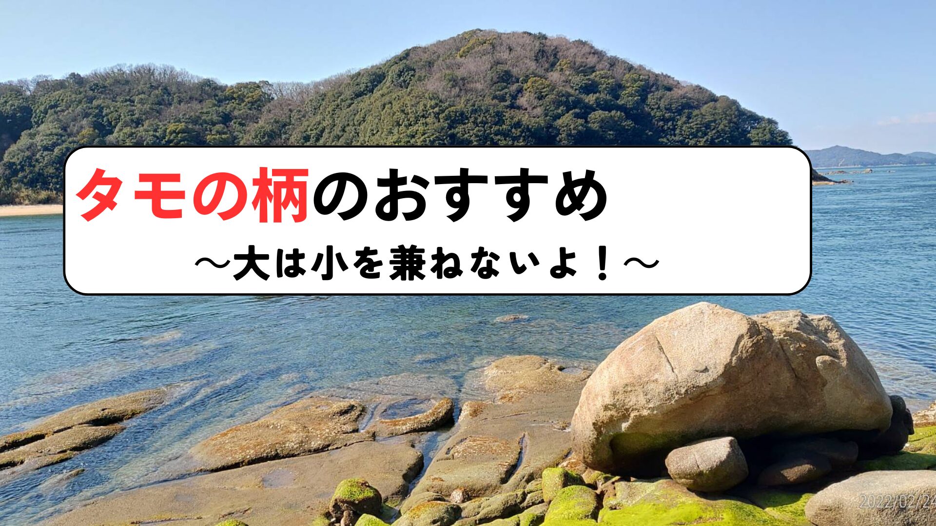 2026年】ウキフカセ用のタモの柄のおすすめ9選！！！｜フカセ釣り技術館