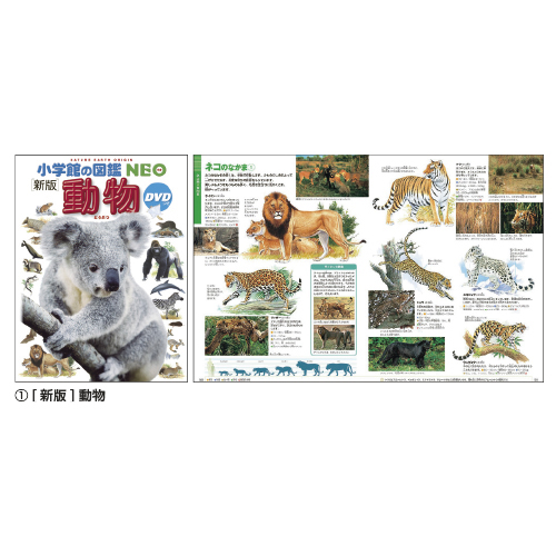 小学館】小学館の図鑑NEO｜小規模保育施設向けの通販サイト ハグット