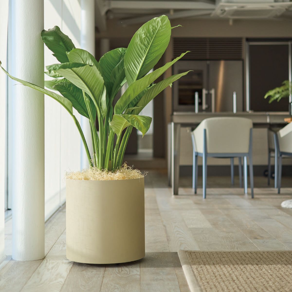 フェルム シリンダー キャスター付｜ヤマテーのプランター