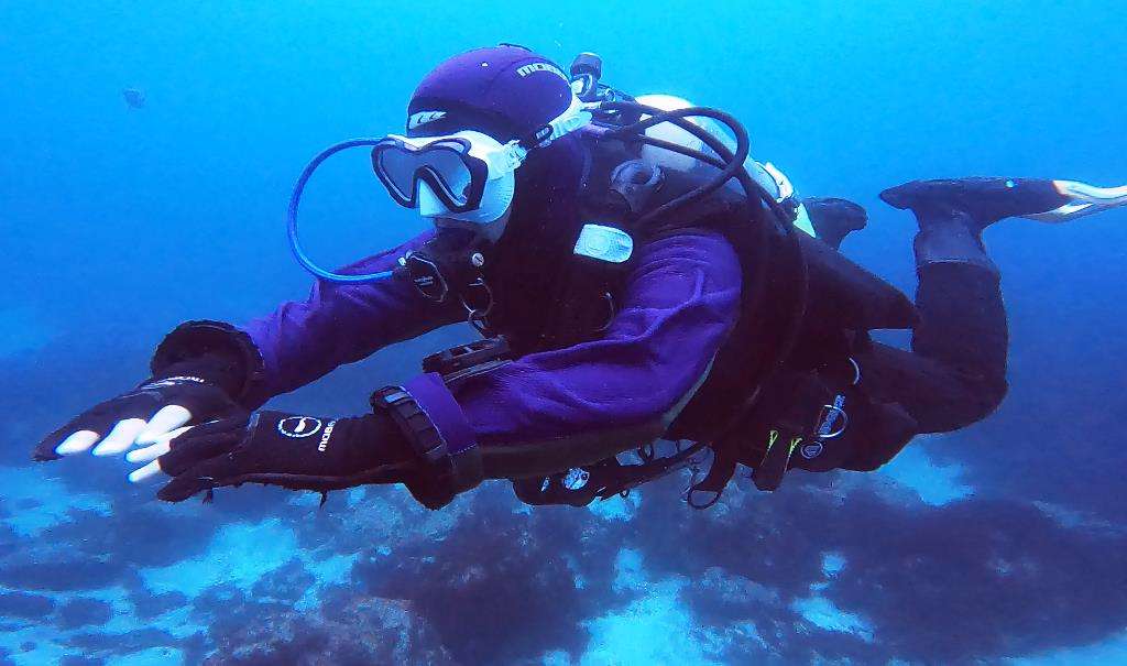 伊豆でドライスーツスペシャルティ取得｜PADI認定｜稲取マリンスポーツ