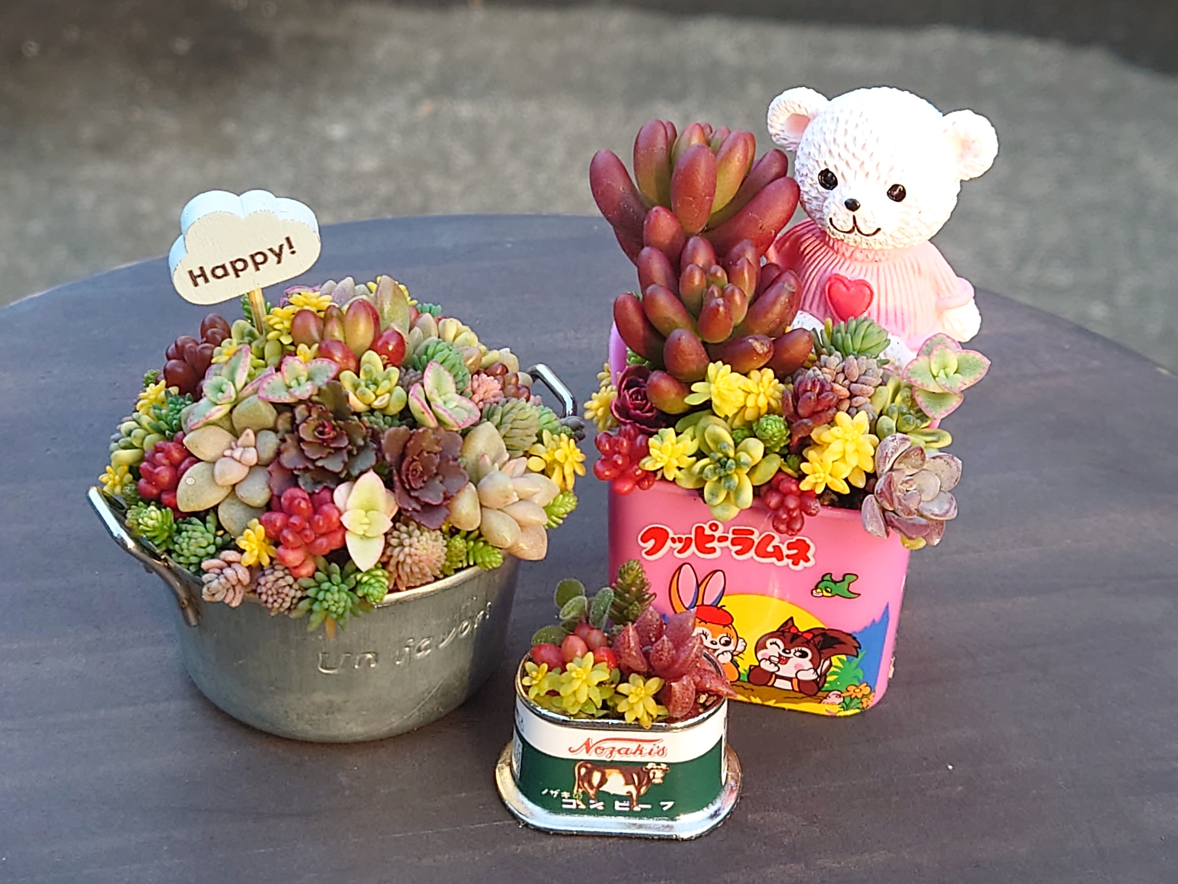 多肉植物寄せ植え（ちまちま寄せ♥） | CAINZ DIY Square