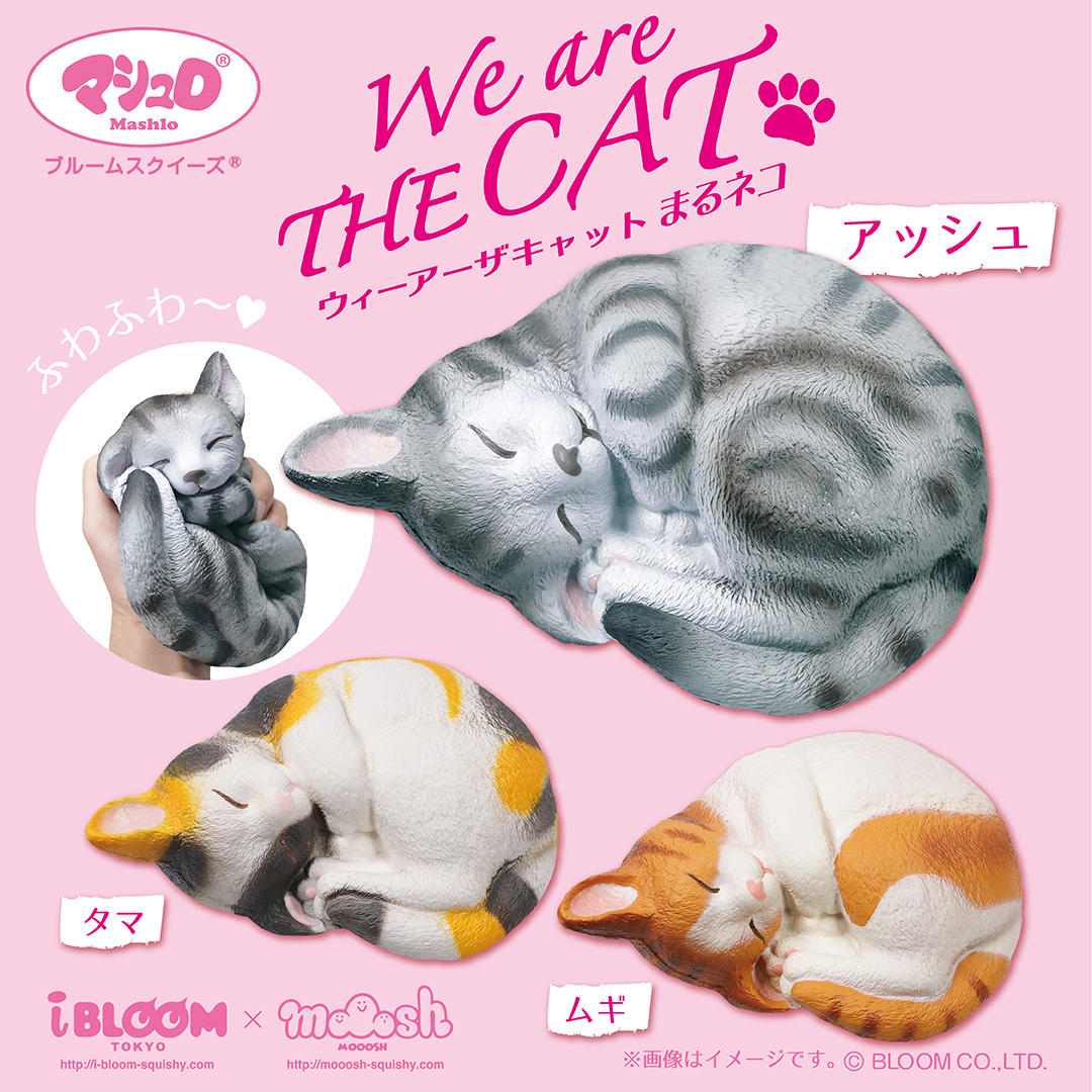 2020年4月新商品】猫好きの方必見！！リアルな”猫”の『スクイーズ』新