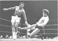 猪木VSアリ6・26が「世界格闘技の日」/ファイト/デイリースポーツ online