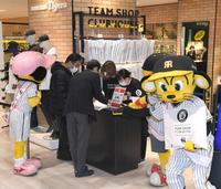 阪神百貨店初売りセール トラッキーがタイガースショップで1日店長