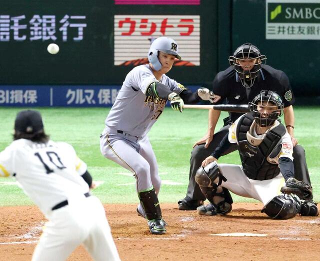 阪神・高寺 日本S初安打 2戦連続DHスタメン「もう打つ、走るしか