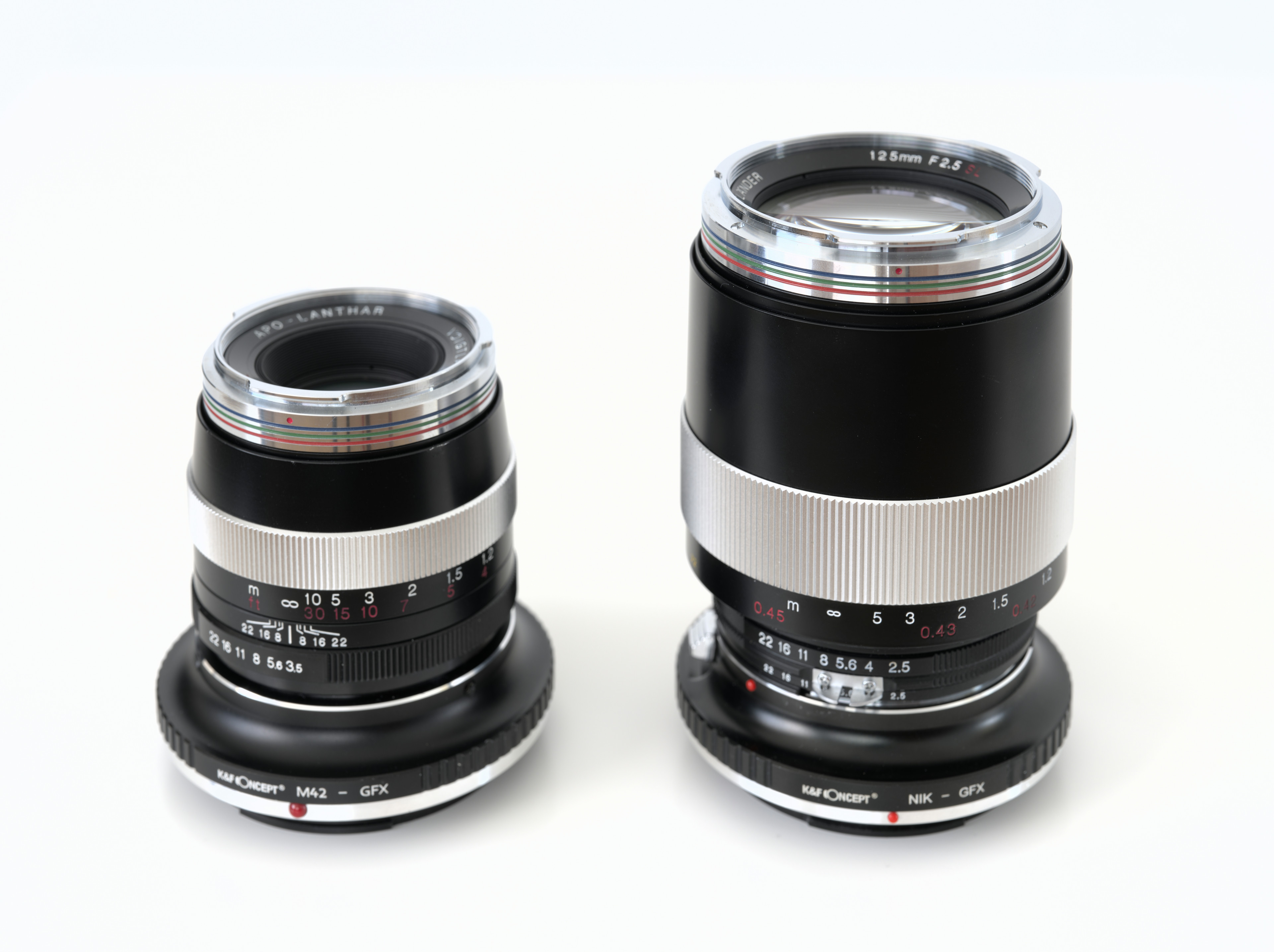 Voigtländer Macro Apo Lanthar 125mm f/2.5 on Fuji GFX