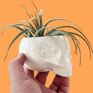 ローレンス・フィッシュバーンのサイン入り8x10マトリックス