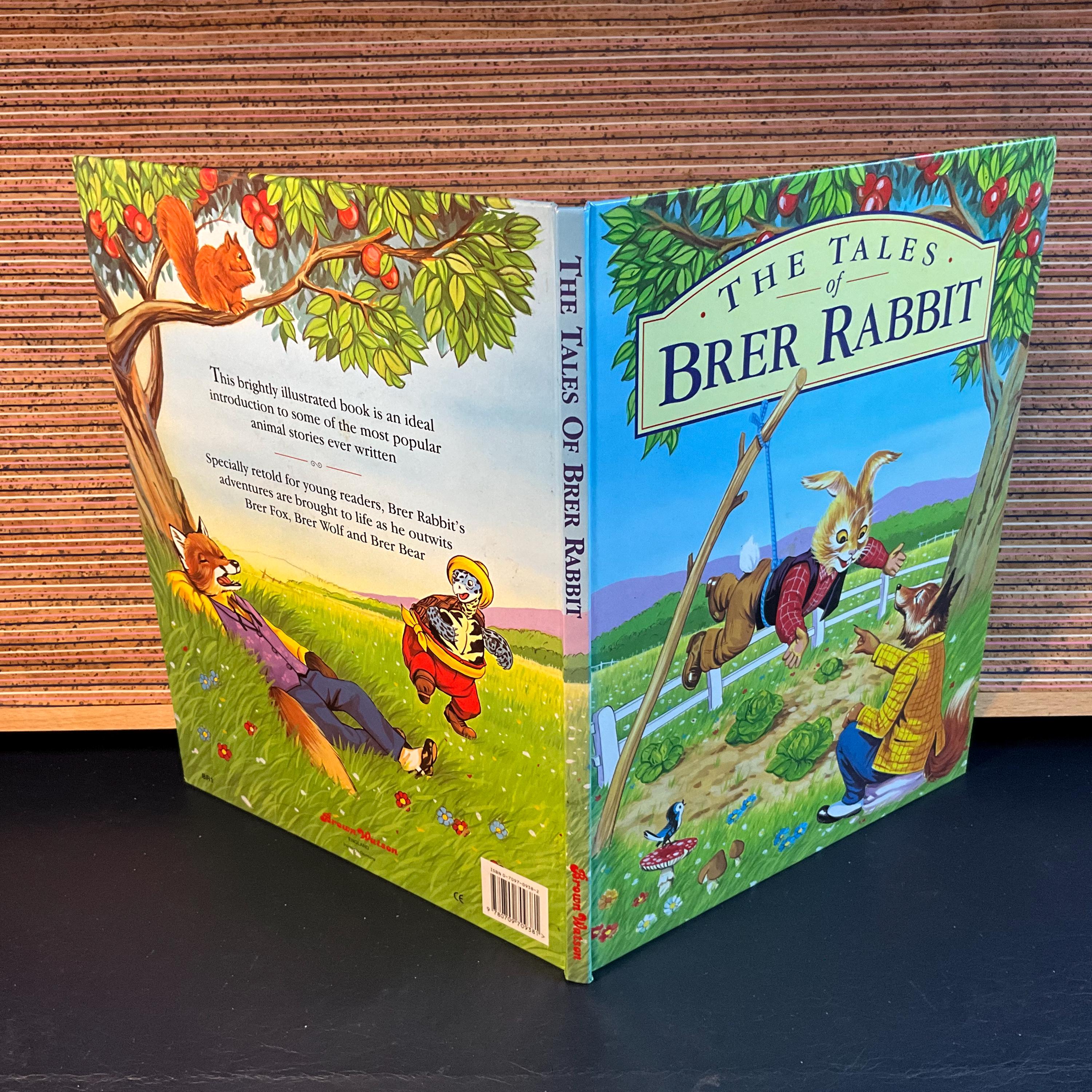 Vintage Brer Rabbit Illustrated Hardback Book - First UK Edition