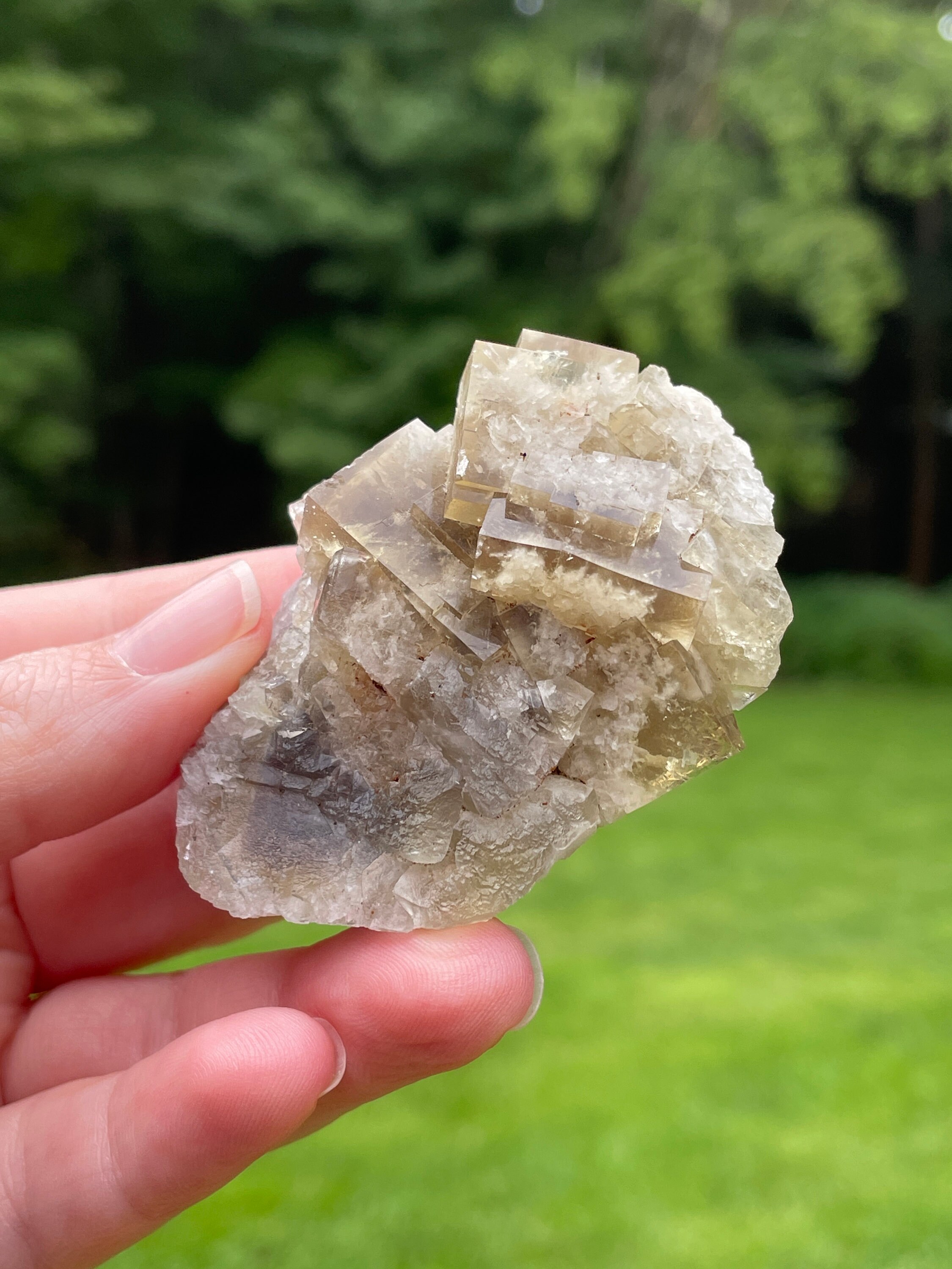 Honey Bear Pocket フローライト Honey Bear Pocket フローライト