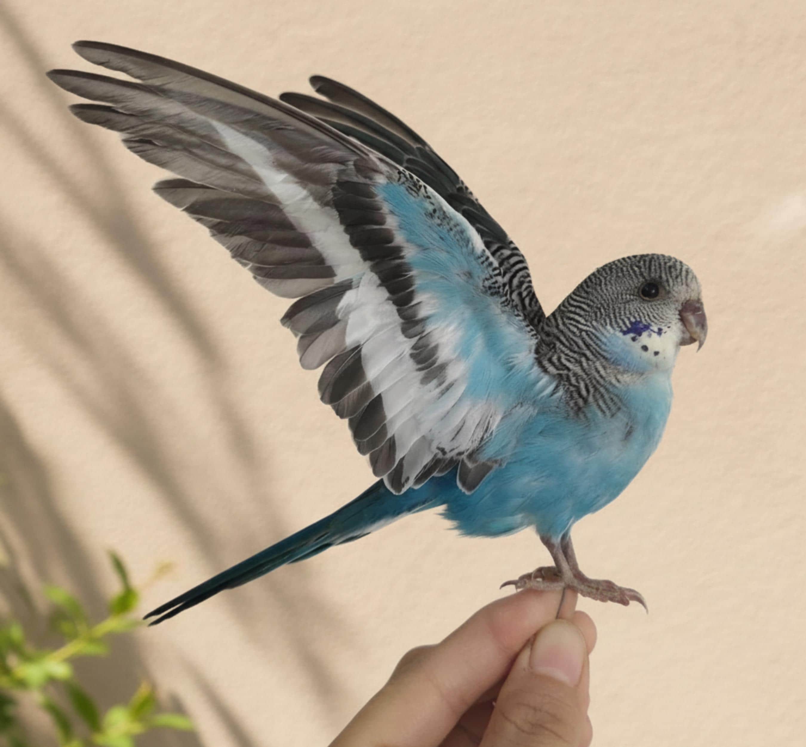 Antique taxidermy parrot - Etsy 日本