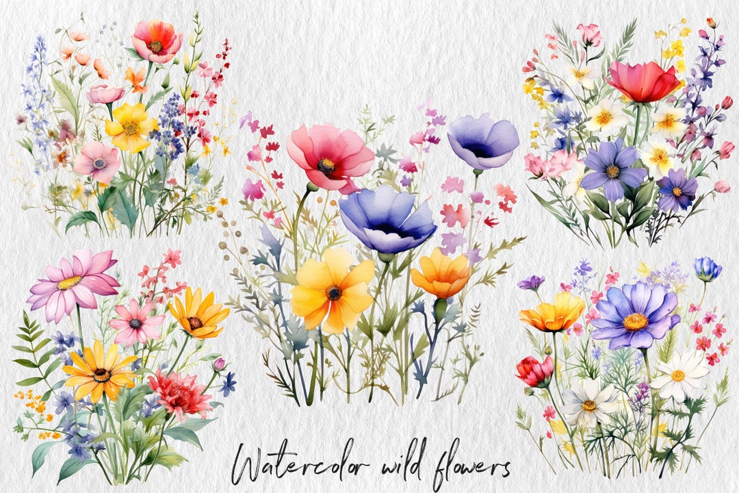 Watercolor Colorful Wildflowers, Nature's Canvas: Watercolor Wild