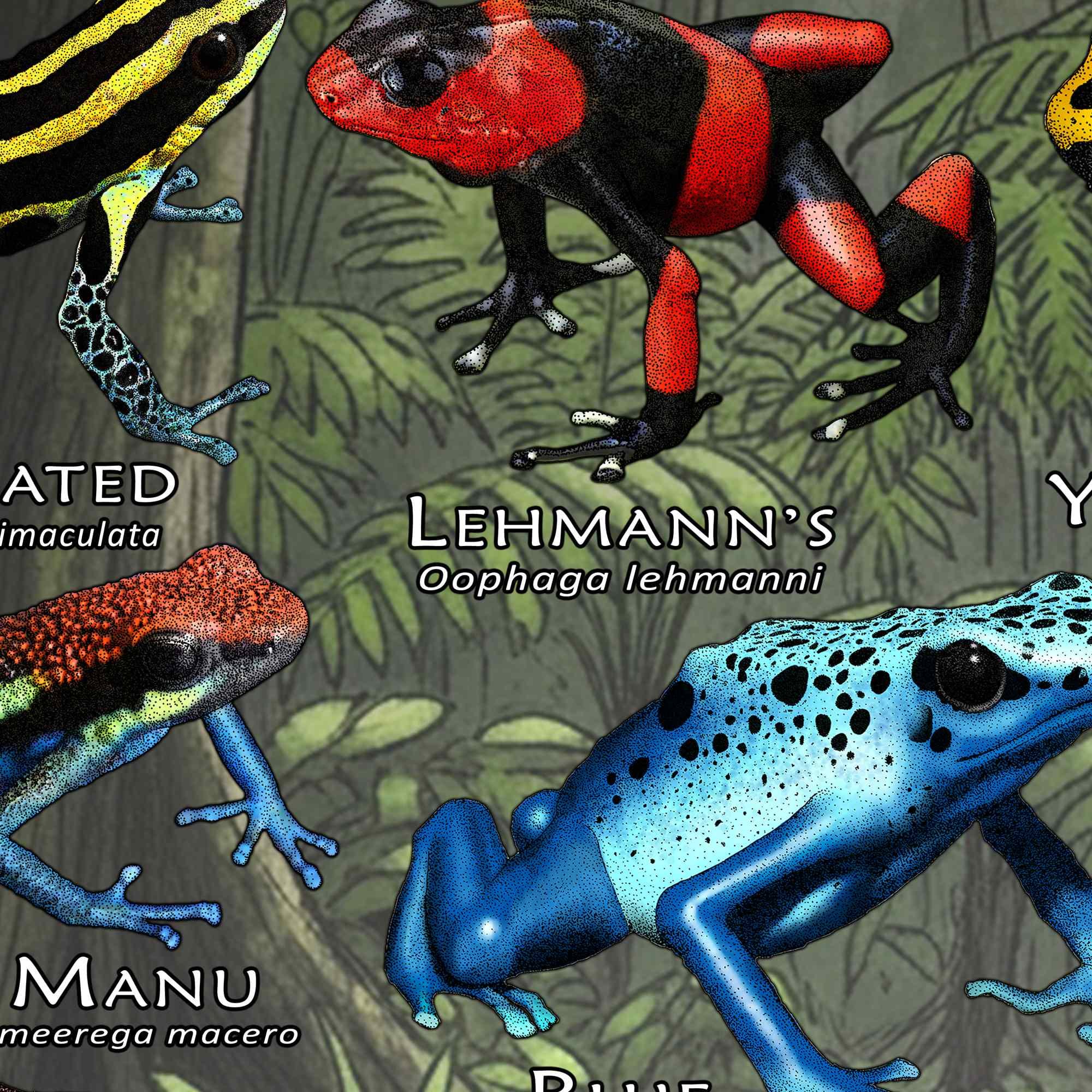 ヤドクガエルのポスタープリント - アーティストのサイン入り! - Etsy 日本