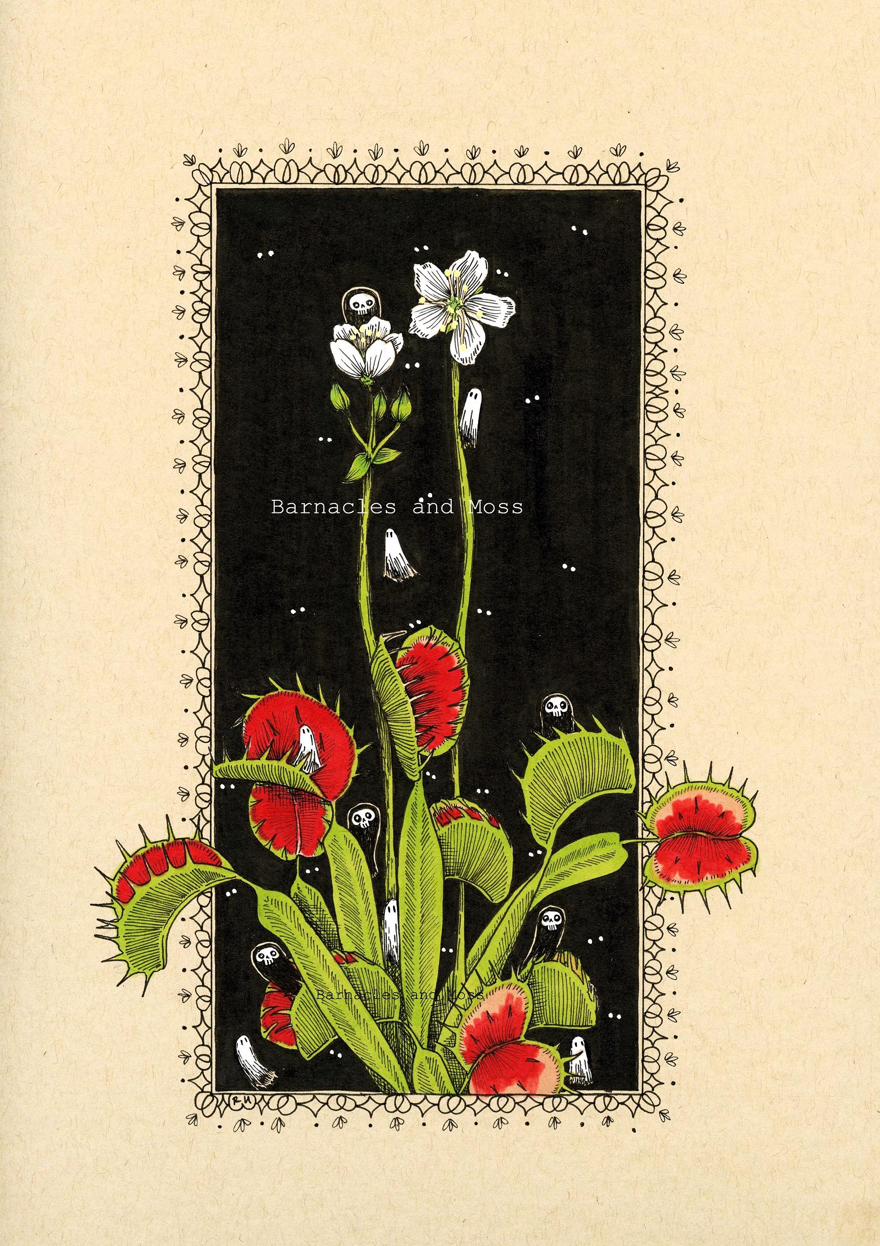 Venus Flytrap Fine Art Print | Botanical Illustration | Goblincore