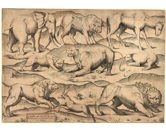 1922 Vintage Mammals Animal Poster. Small French Antique Animal