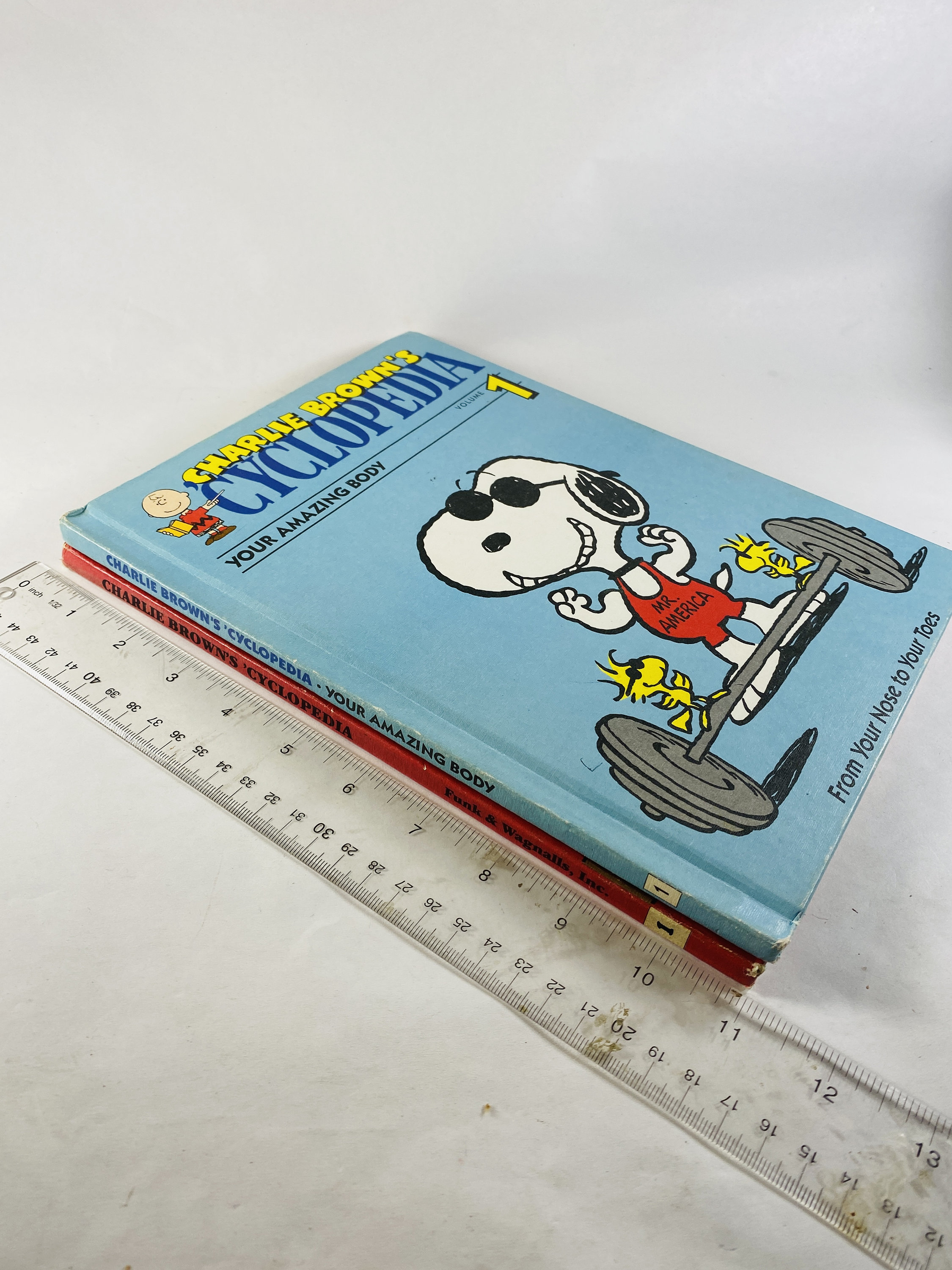 Vintage Charlie Brown Encyclopedia Book Series Charles Schultz