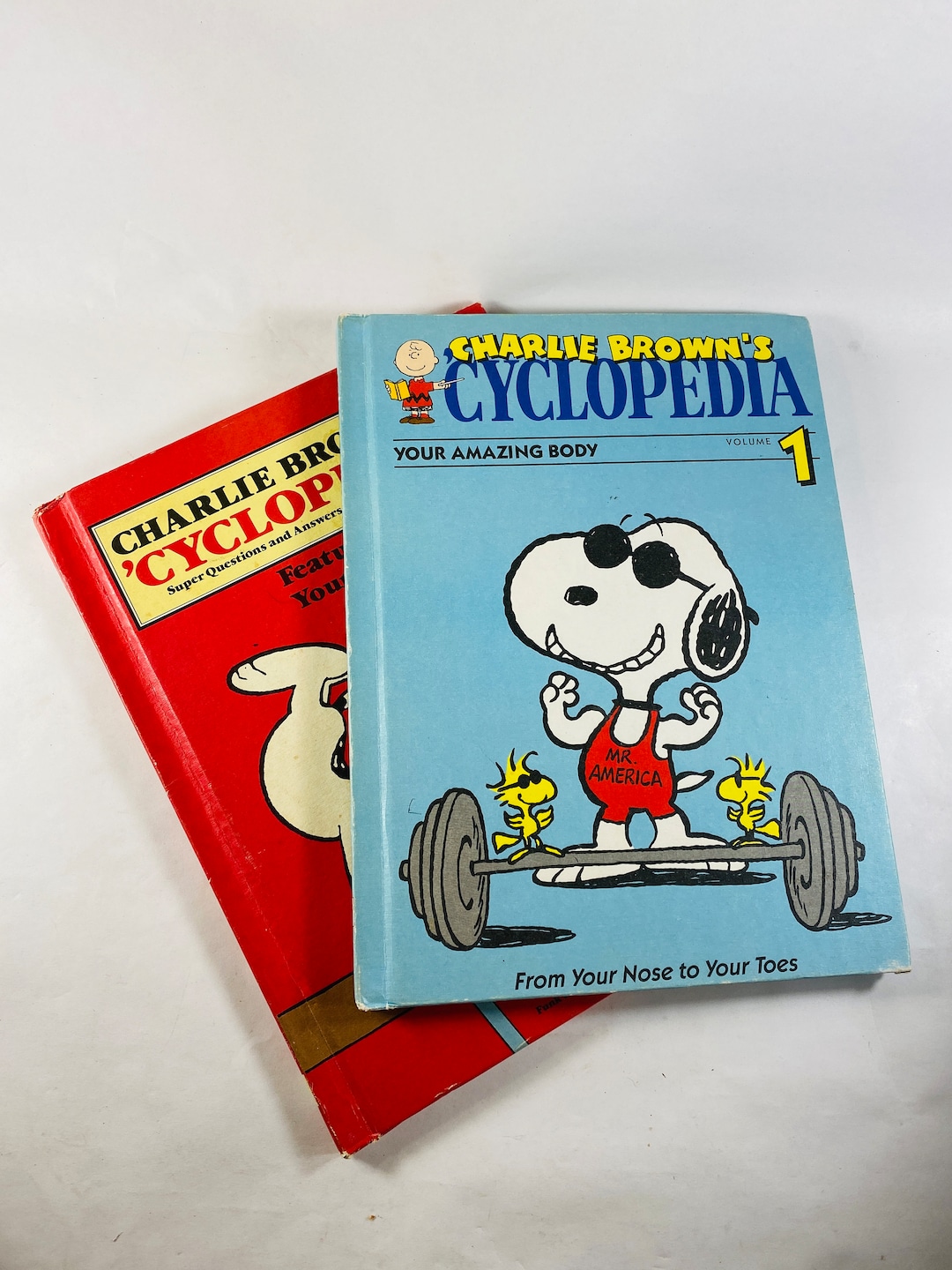 Vintage Charlie Brown Encyclopedia Book Series Charles Schultz
