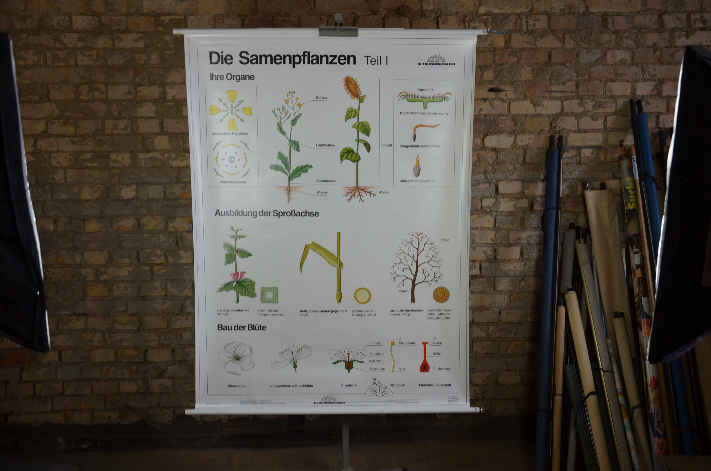 読む」植物図鑑 vol.5 』川尻秀樹著 - 田舎の本屋さん ❤️ Claire 様5