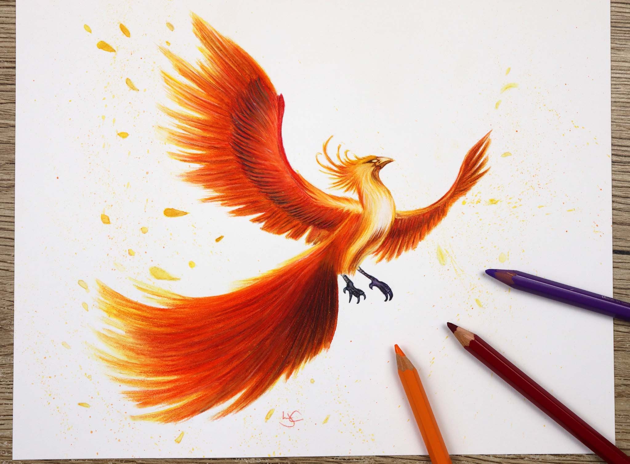 フェニックス水彩色鉛筆オリジナルイラスト / フェニックスの