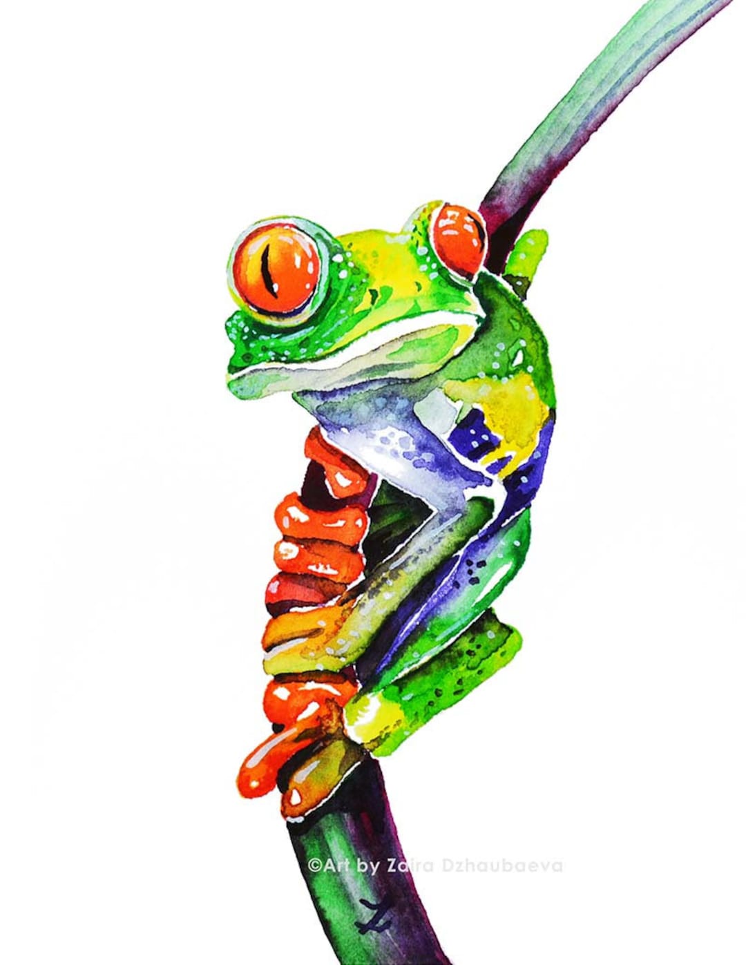 カラフルなアマガエルのウォールアートプリント カエルの水彩画 赤い目