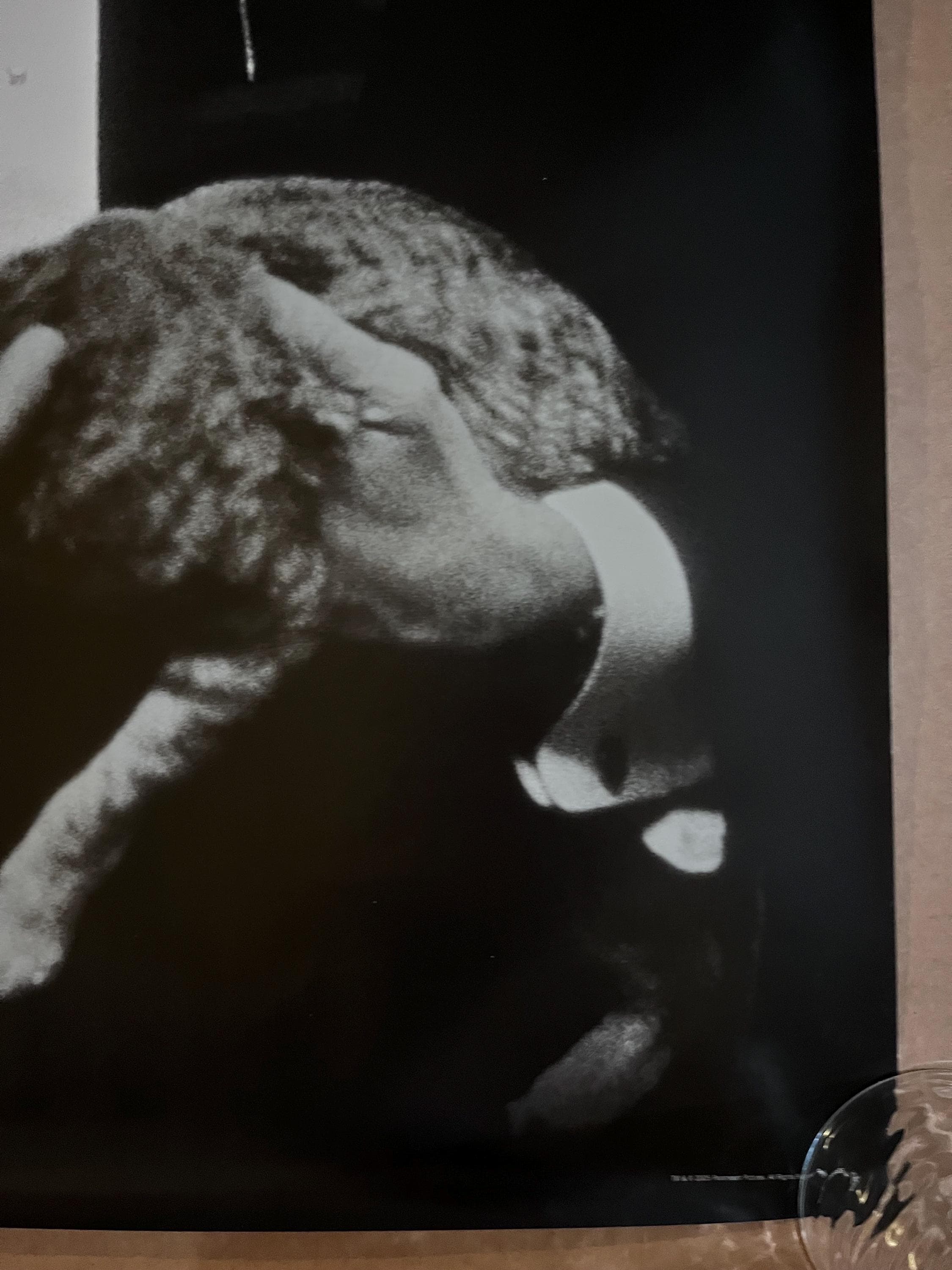 ゴッドファーザー映画ポスター猫マーロンブランド映画クラシック