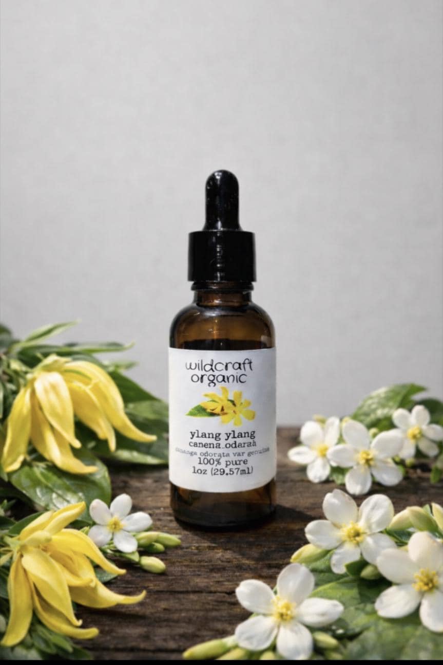 Organic Ylang Ylang Essential Oil | 100% Pure, Therapeutic Grade