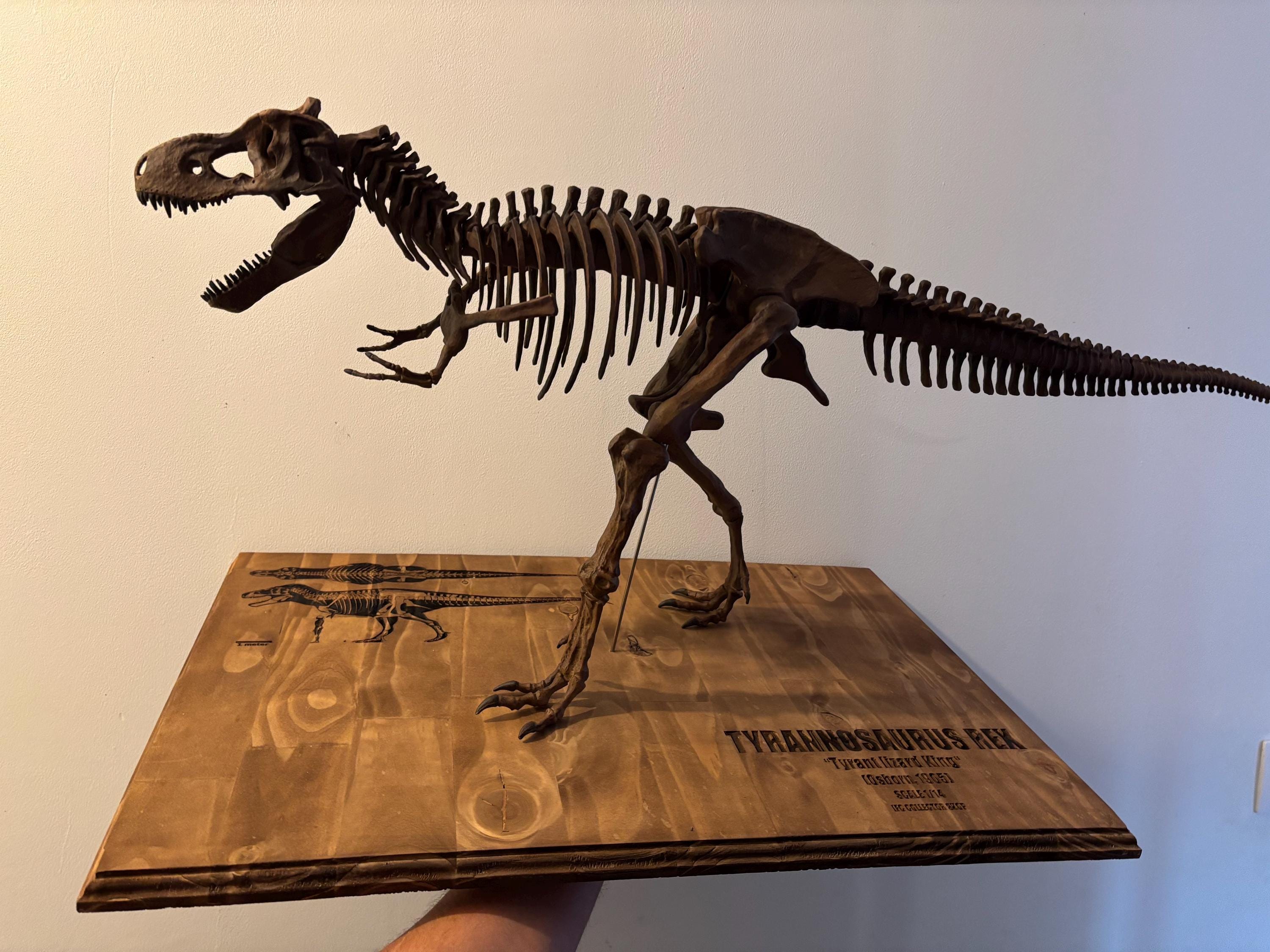 95cmのティラノサウルス・レックス恐竜の骨格とレーザー彫刻された木製