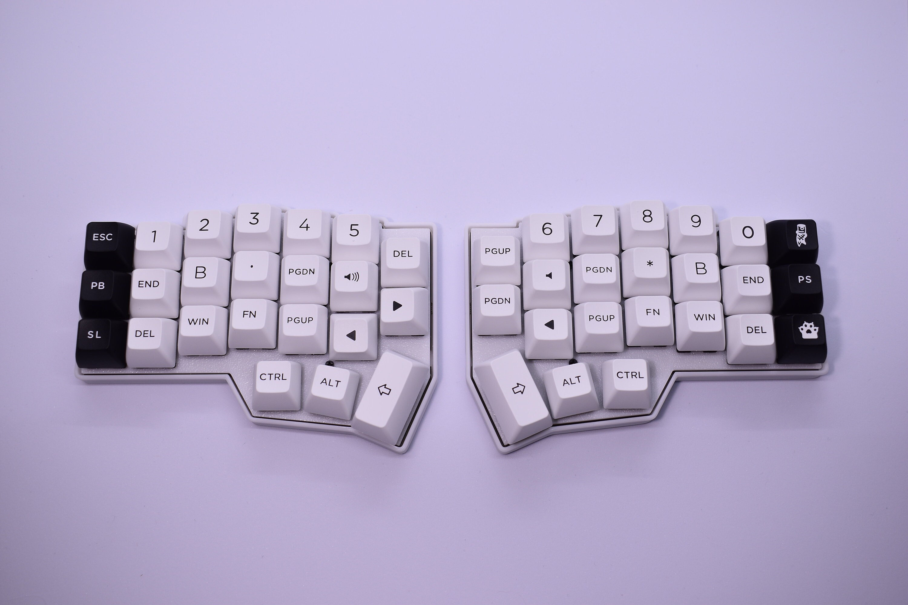 Corne v4キーボード。プリビルド済みの分割エルゴノミックRGB