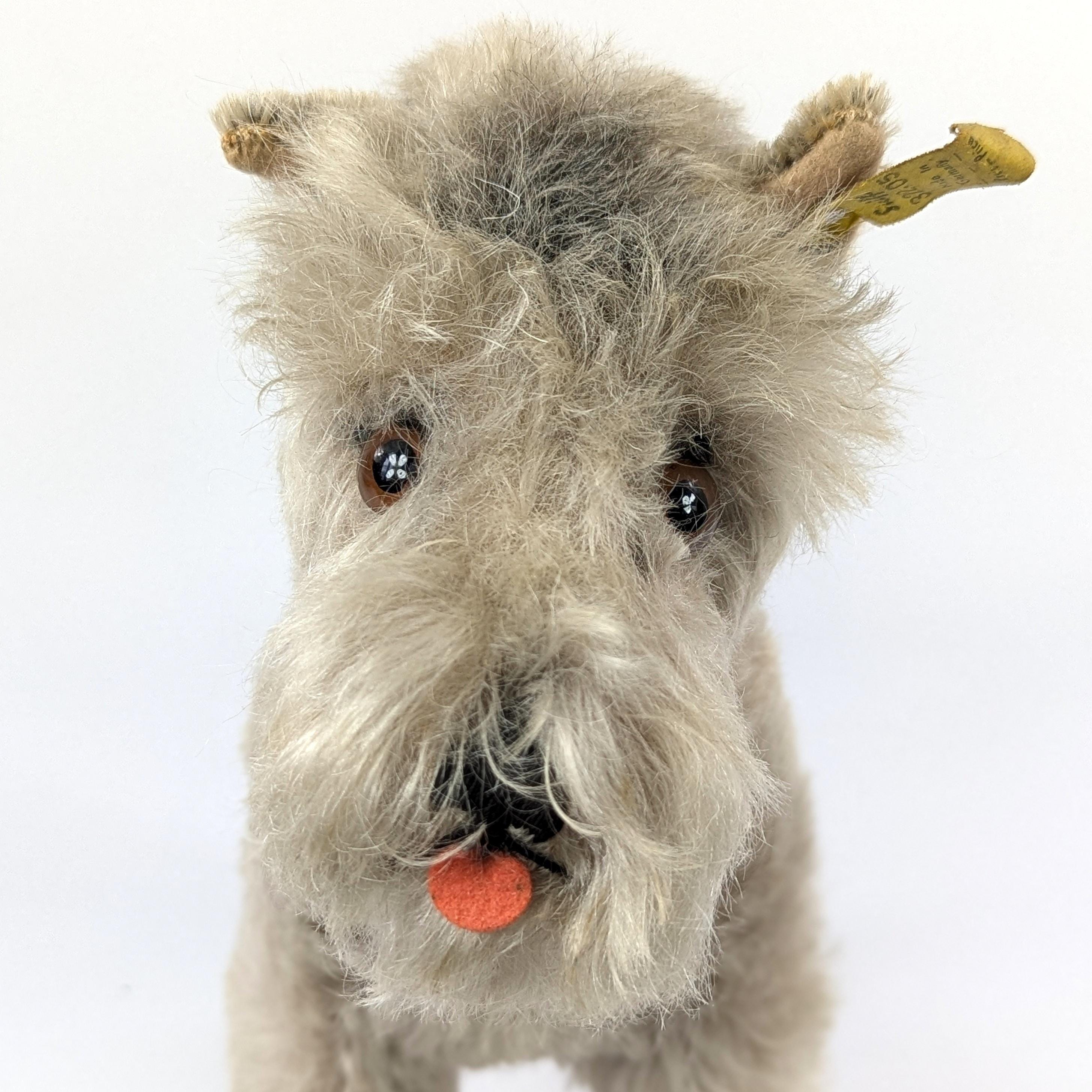 シュタイフ シュナウザー テッシー 9インチ ヴィンテージ 1965～1967年