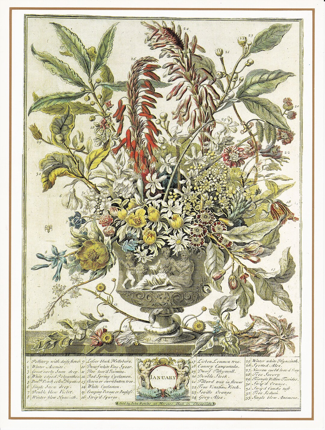 January Vintage Botanical Floral Art Print Winterthurs 12 Months