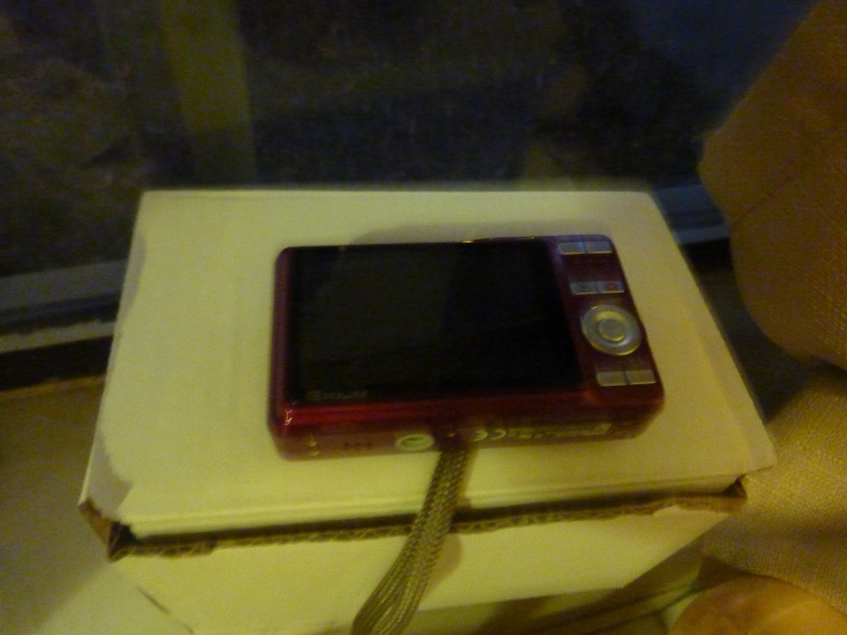 Casio EXILIM ZOOM EX-Z29 10.1MP Digital Camera - Black for sale